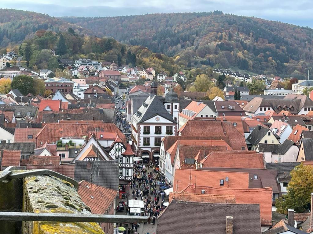 Ferienwohnung Im Springerhof Lohr Eksteriør billede