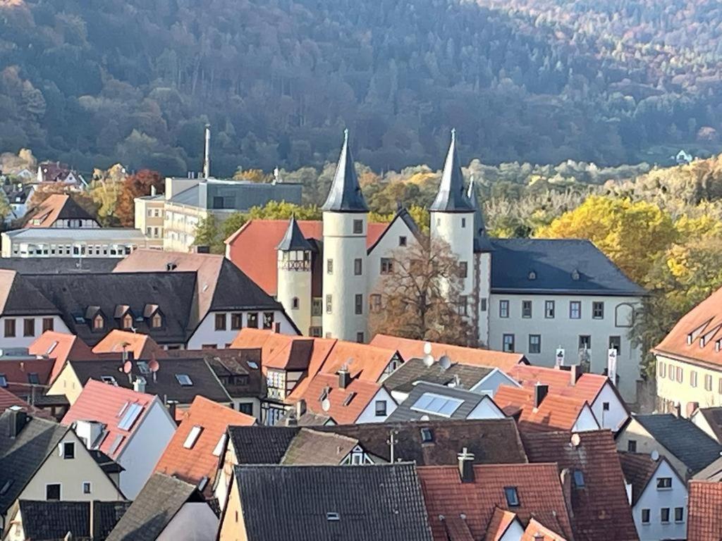 Ferienwohnung Im Springerhof Lohr Eksteriør billede